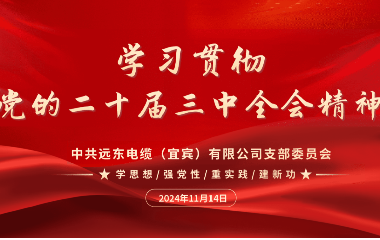 守正創(chuàng)新 踔厲奮發(fā)｜遠(yuǎn)東電纜（宜賓）開(kāi)展學(xué)習(xí)貫徹黨的二十屆三中全會(huì)精神主題黨日活動(dòng)